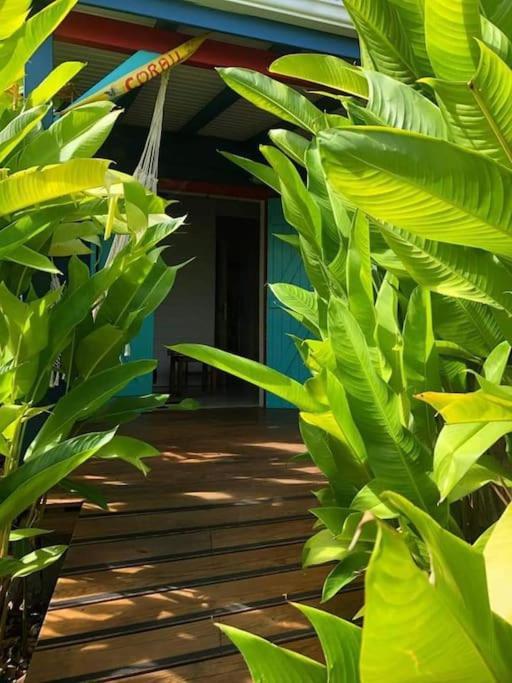 Secteur Prise, Bungalow Corail, Residence Casa Boubou Sainte-Anne  Exterior foto