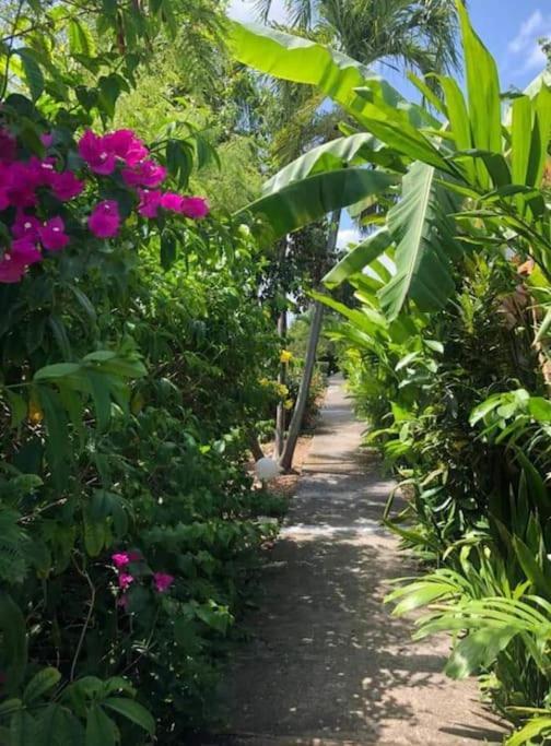 Secteur Prise, Bungalow Corail, Residence Casa Boubou Sainte-Anne  Exterior foto