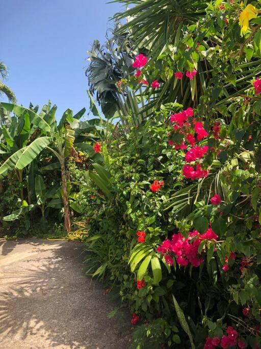 Secteur Prise, Bungalow Corail, Residence Casa Boubou Sainte-Anne  Exterior foto